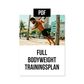 Full body bodyweight training plan [PDF] available in English