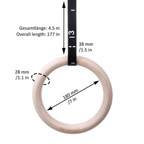Gym Rings and Resistance Bands Set